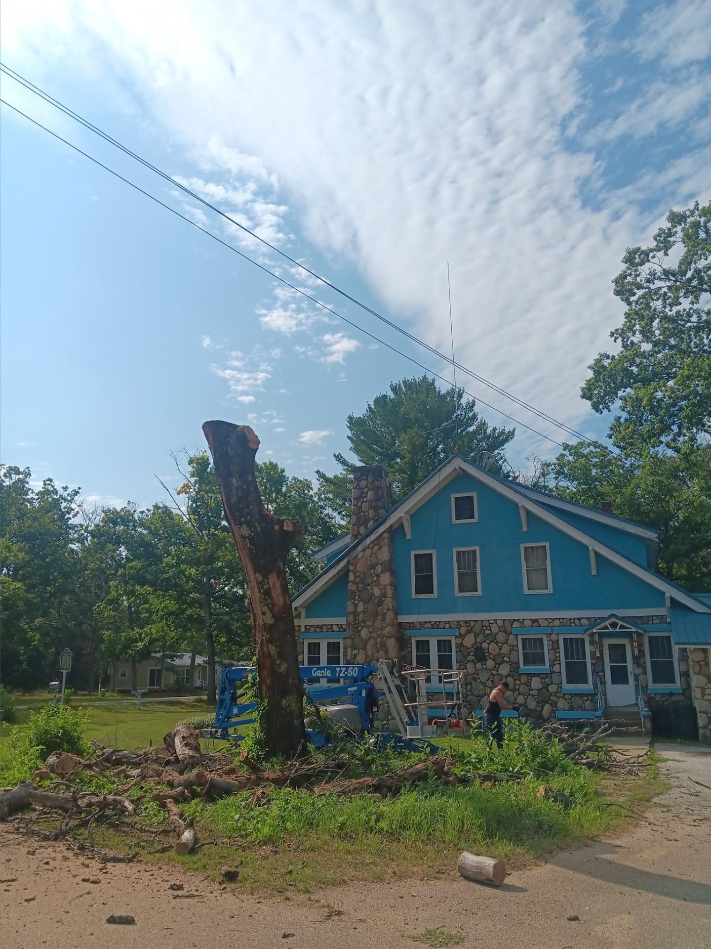 Tree Removal
