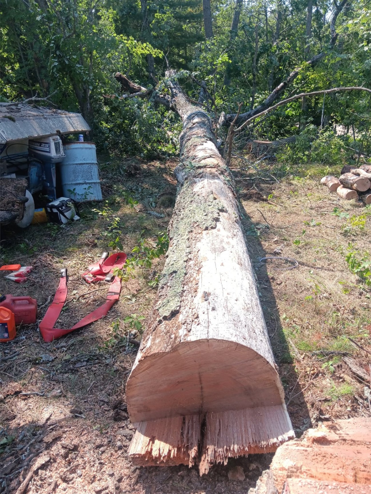 24/7 Emergency Tree Service